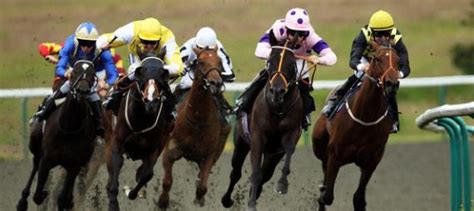 Explicamos las apuestas de caballos ganador y colocado.